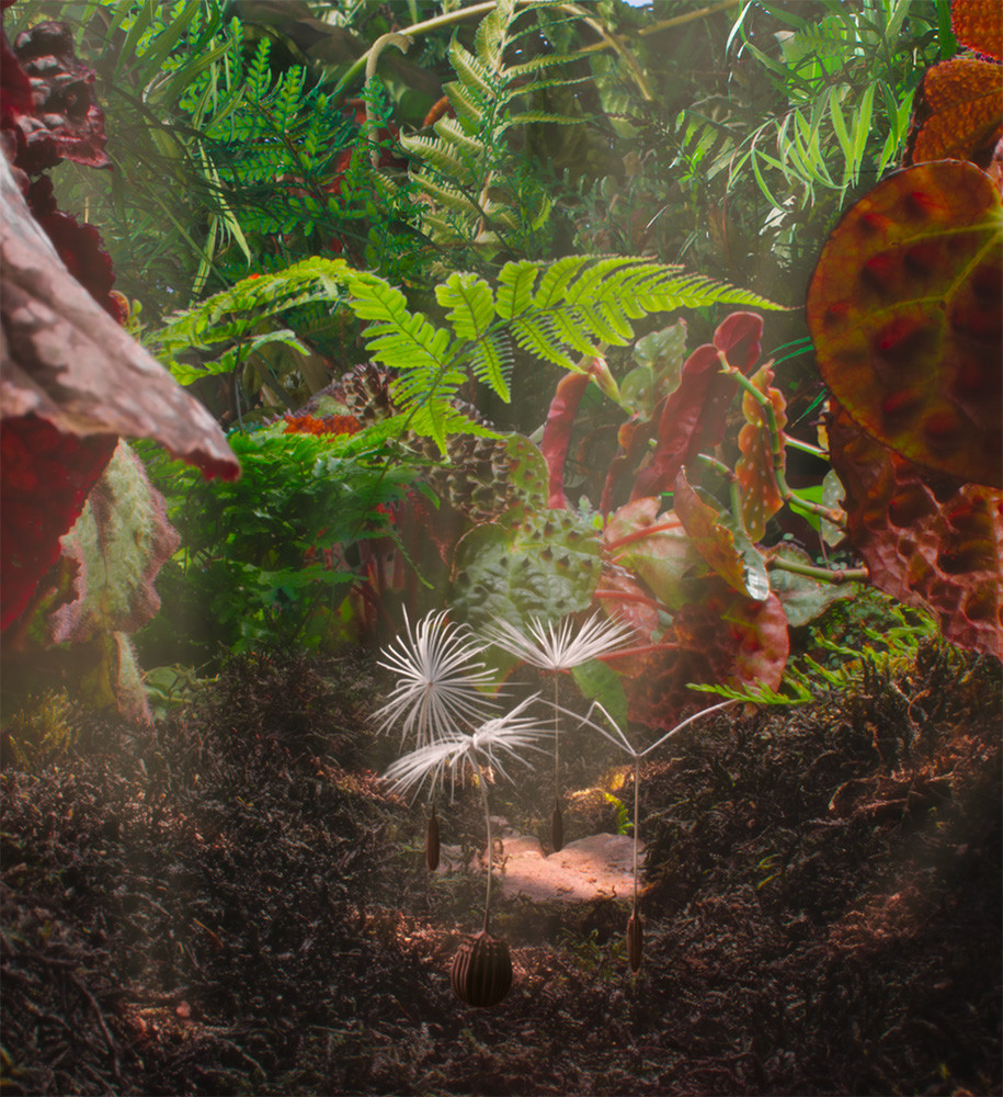 Potovanje regratove lučke