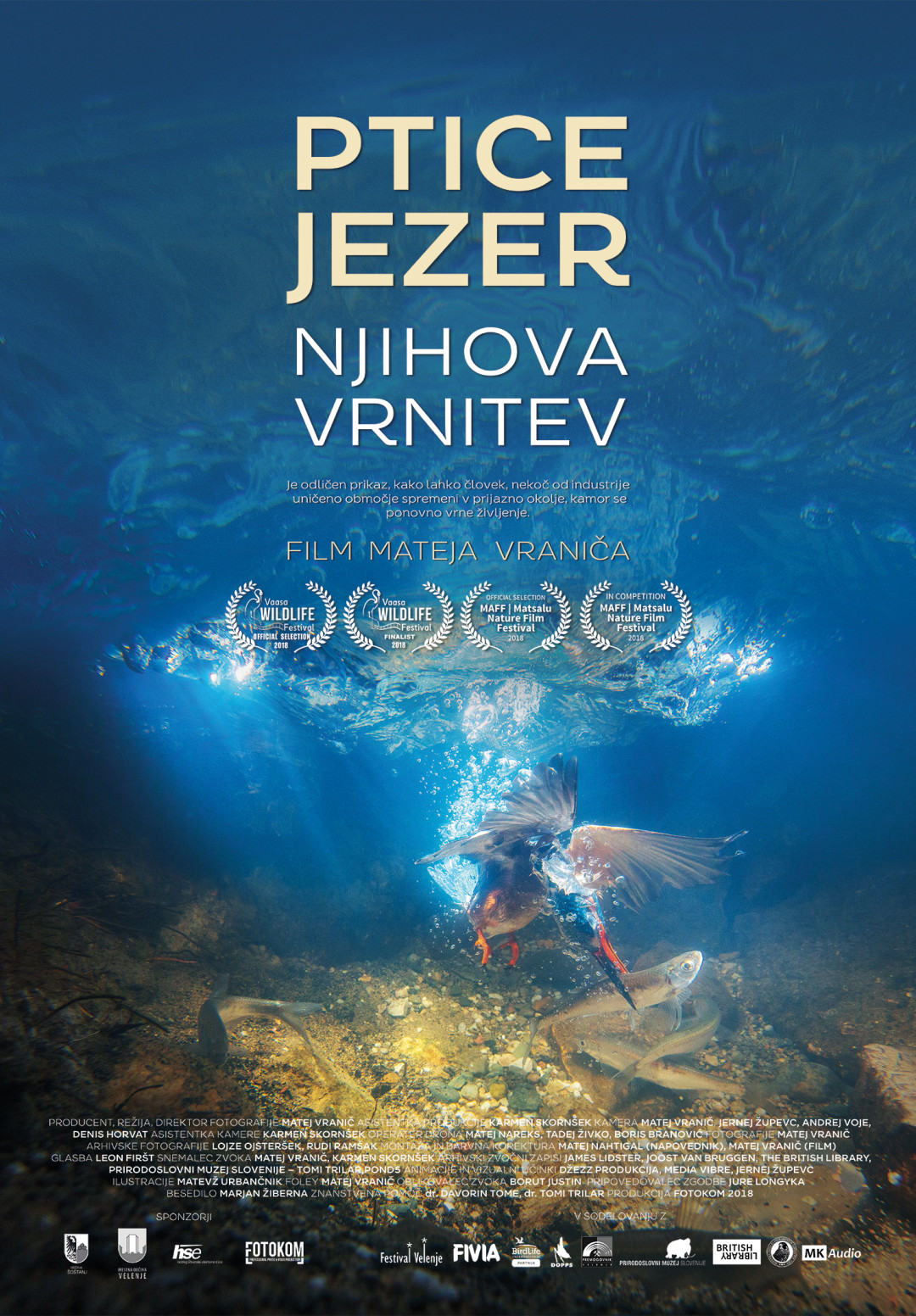 Ptice jezer, njihova vrnitev