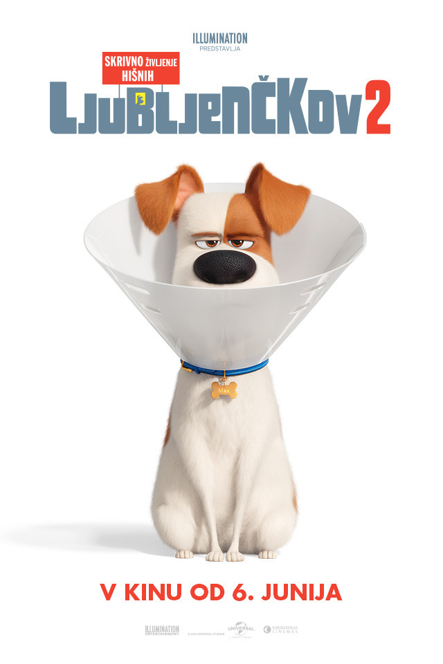 Skrivno življenje hišnih ljubljenčkov 2