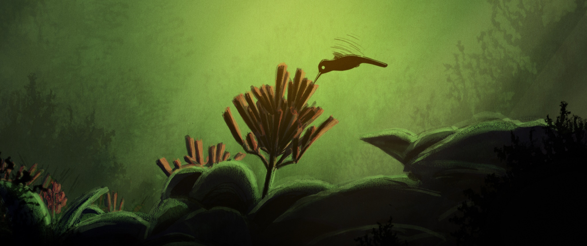 Slonov tekmovalni program II