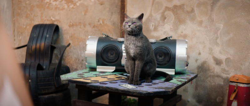 Šola čarobnih živali 3 [sinhronizirano]