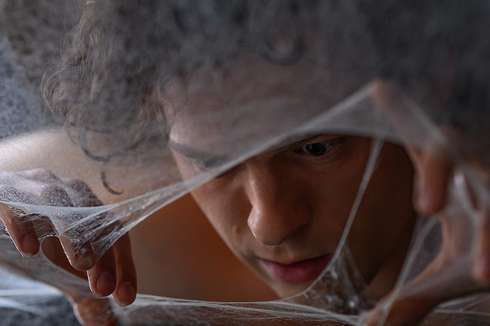 Spider-Man: Nov dan