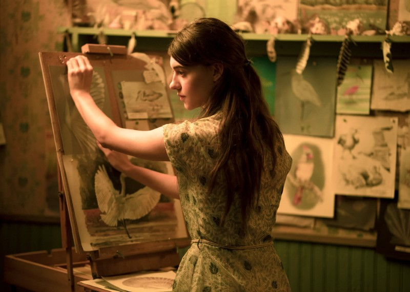 Tam, kjer pojejo raki