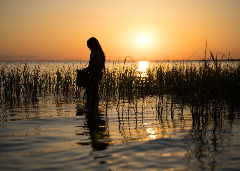 Tam, kjer pojejo raki