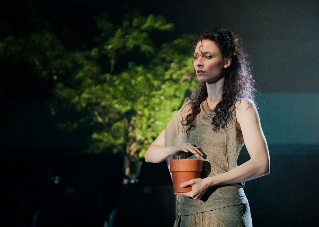 Urška Centa in Domen Novak: TAM, V VRTU