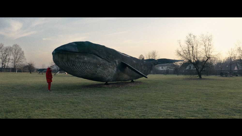 V tišini življenja