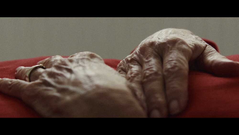 V tišini življenja