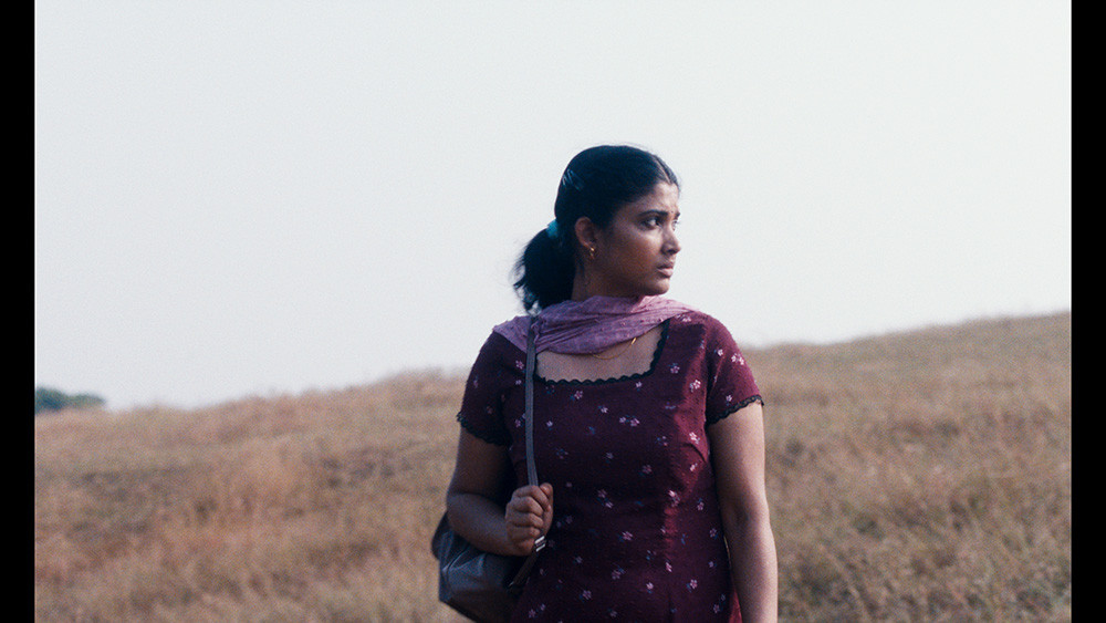 Vsi odtenki svetlobe