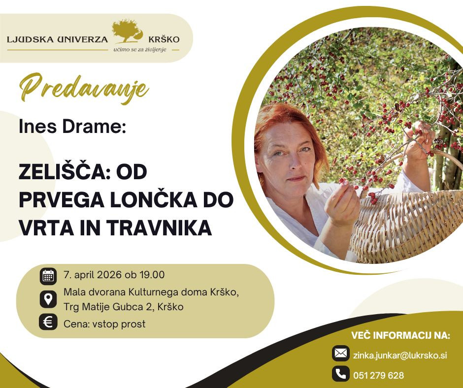 Zelišča: od prvega lončka do vrta in travnika