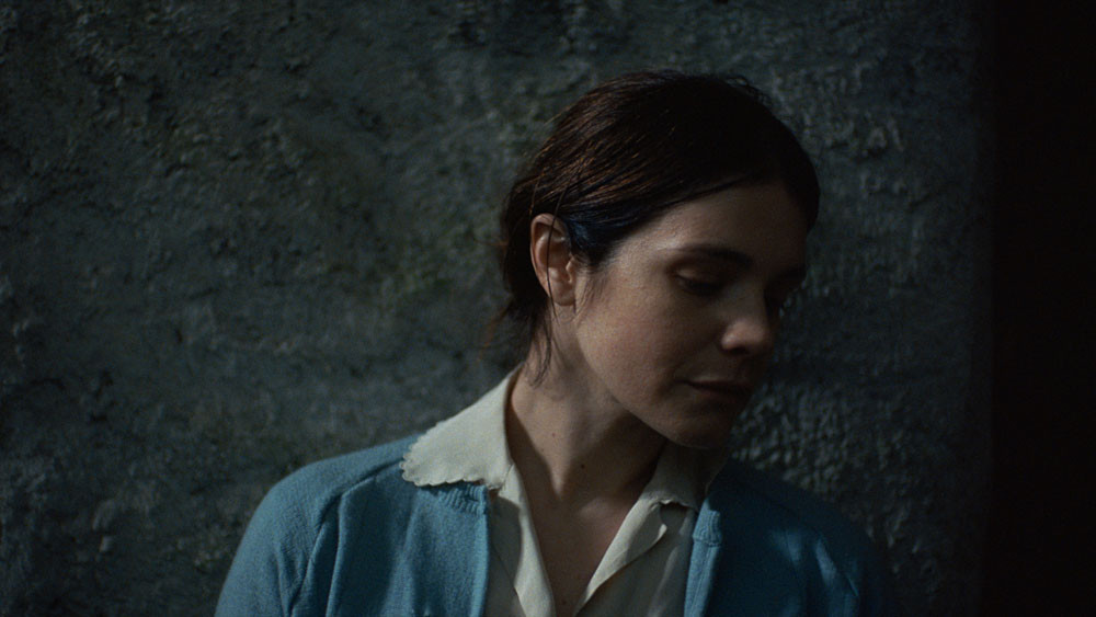 Zgodbe iz kostanjevih gozdov