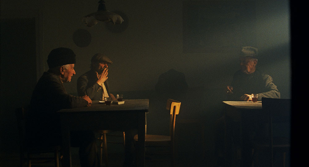 Zgodbe iz kostanjevih gozdov