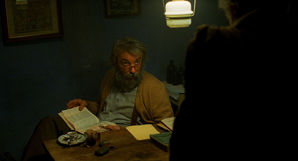 Zgodbe iz kostanjevih gozdov