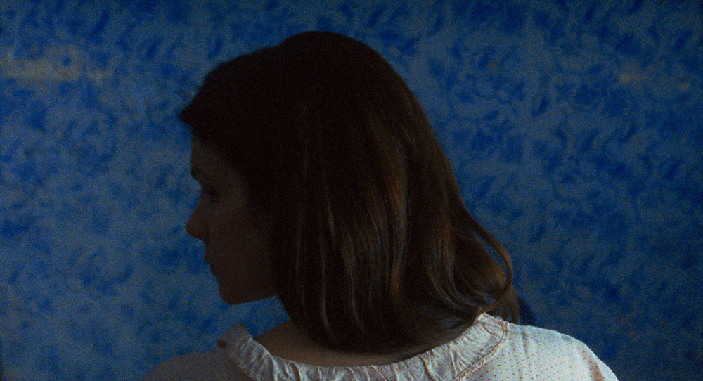 Zgodbe iz kostanjevih gozdov