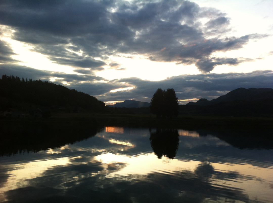 Poročila o analizah pitne vode