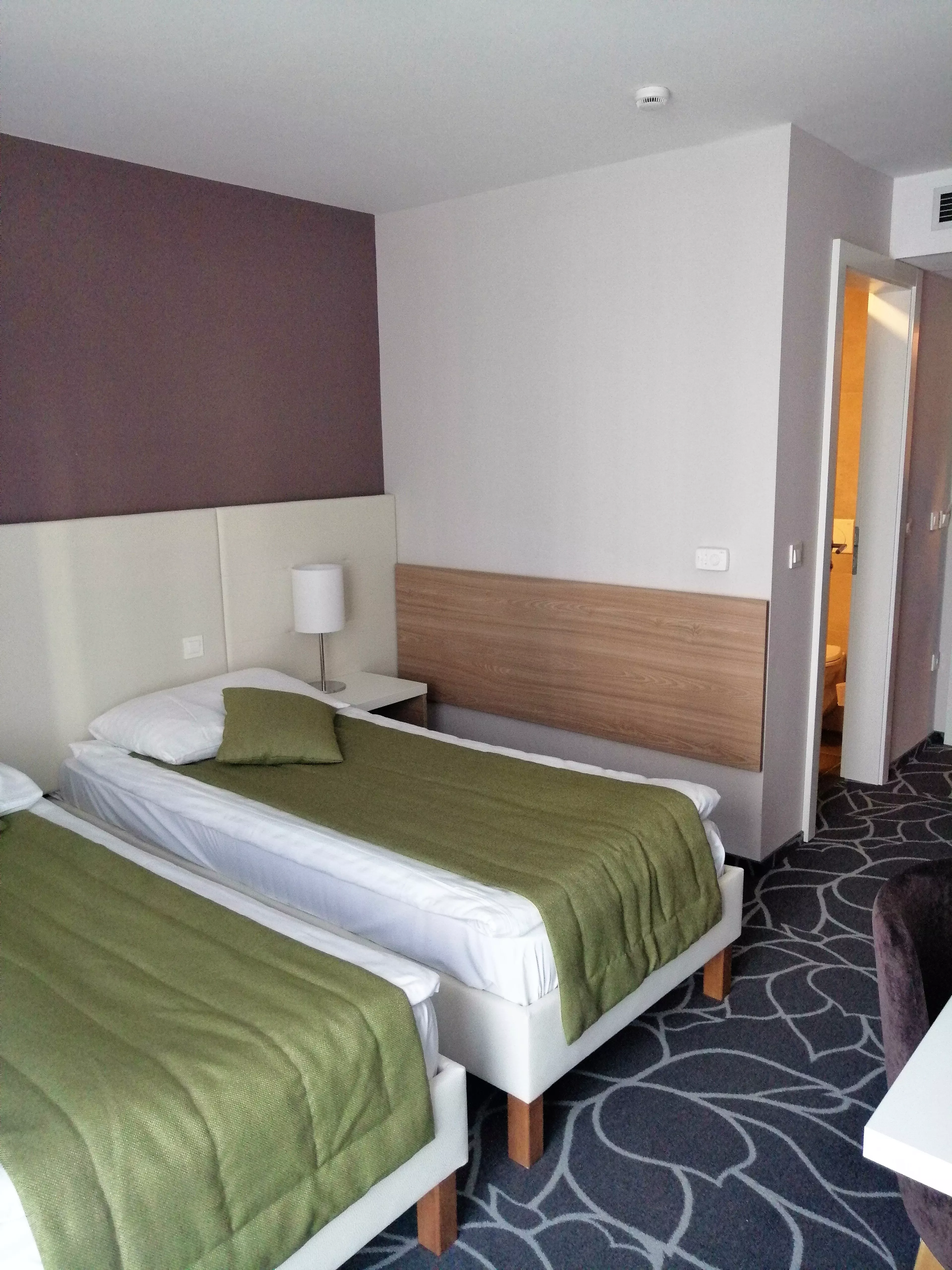 Hotel Zdravilišče Terme Čatež