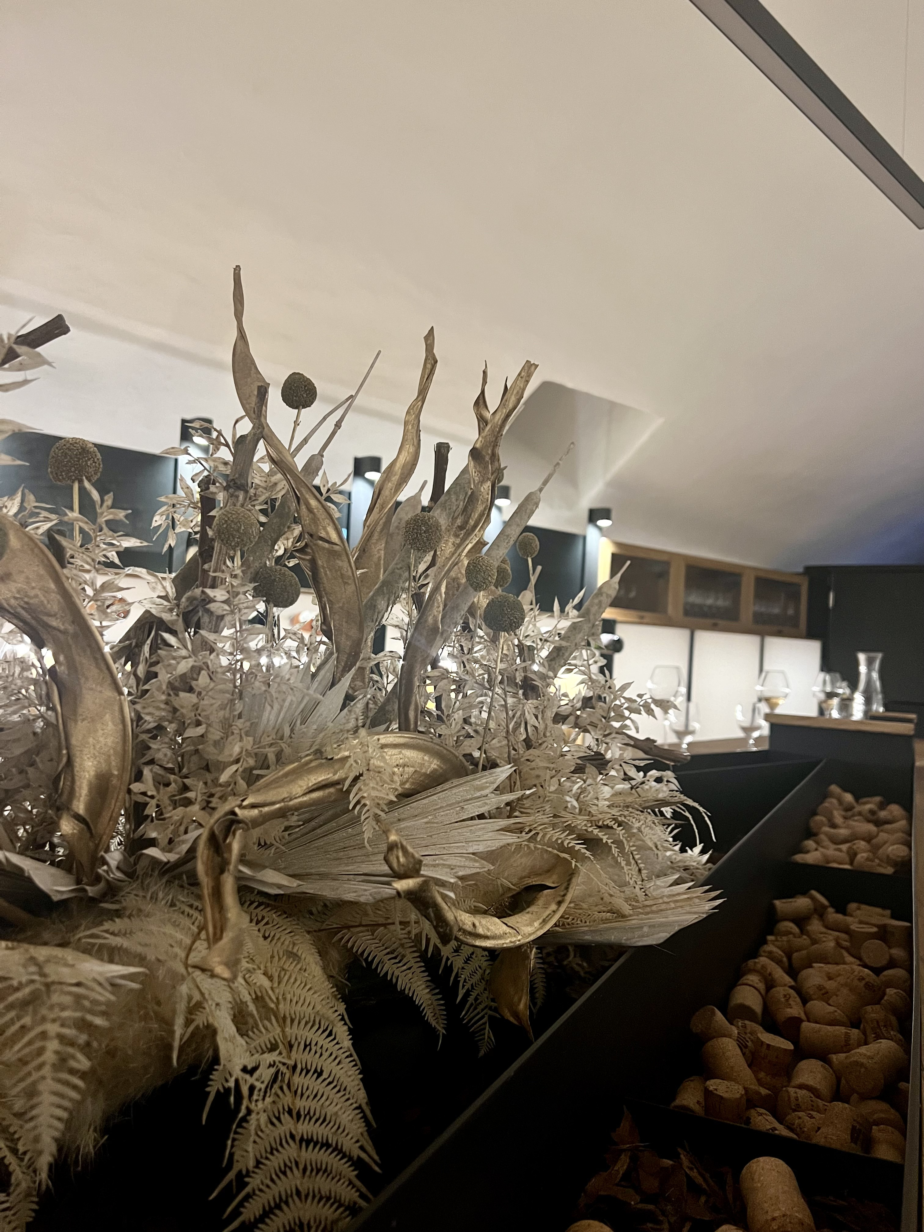 Peninoteka Rajhenburg