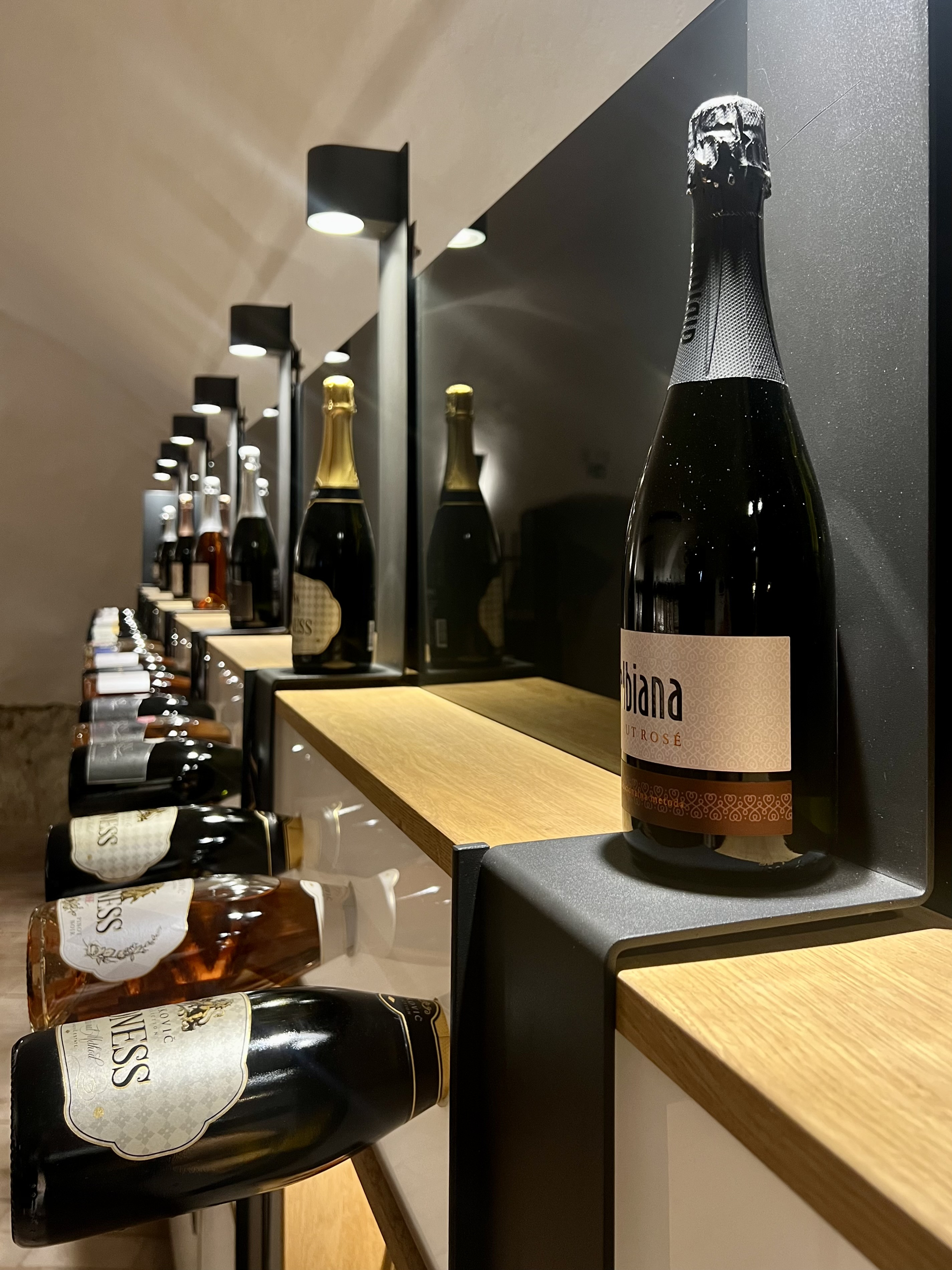 Peninoteka Rajhenburg