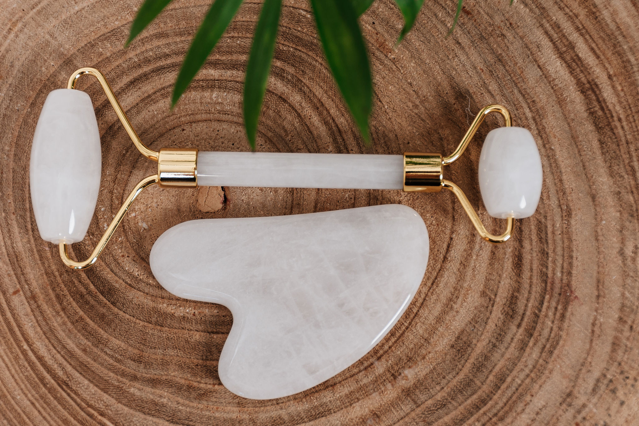 Masažni set za obraz