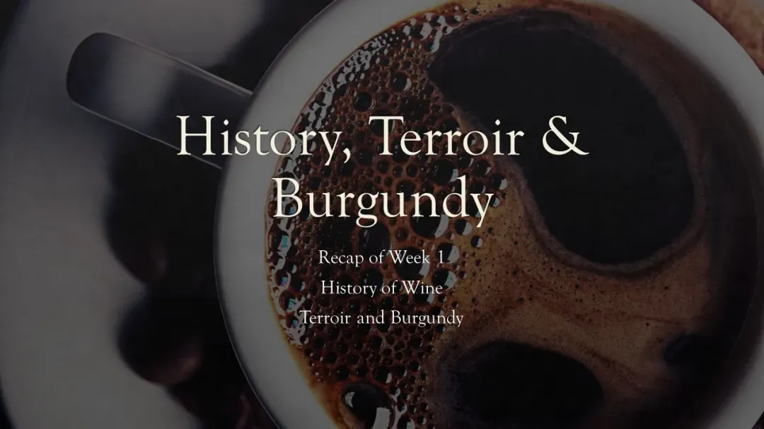 Wine Conversations #1 – History & Terroir