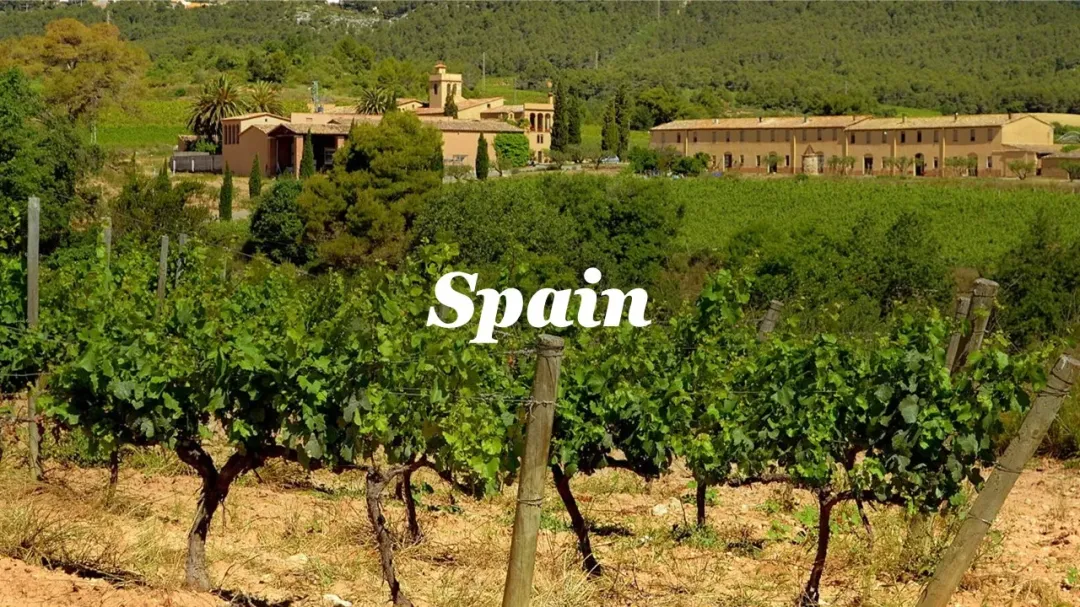 Wine Conversations #10 – Spain