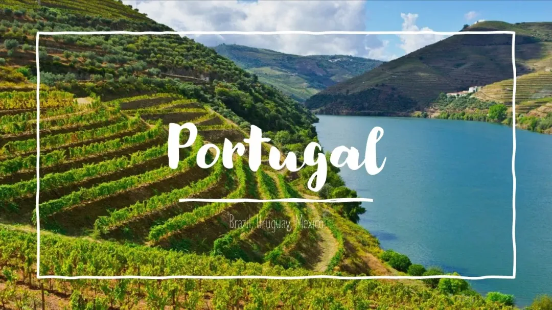 Wine Conversations #11 – Portugal, Brazil, Uruguay, Mexico