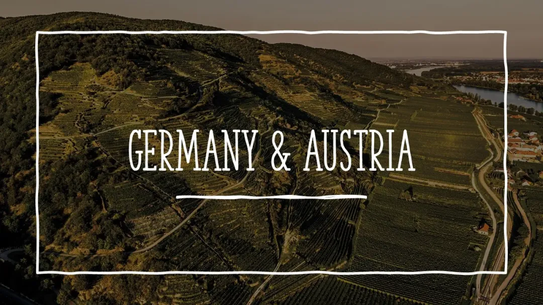 Wine Conversations #12 – Germany & Austria