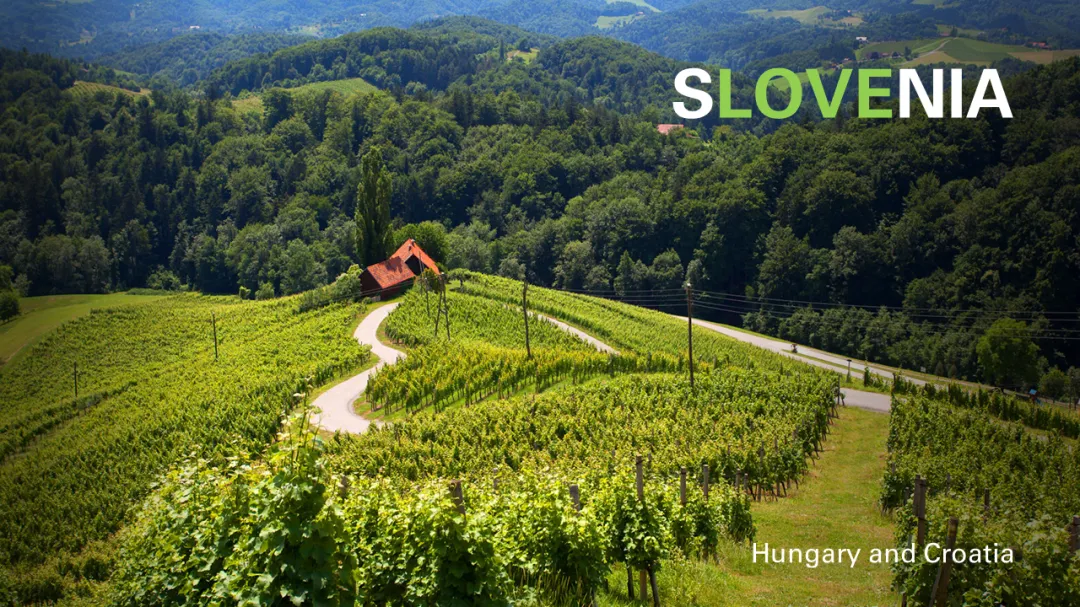 Wine Conversations #13 – Slovenia, Hungary & Croatia