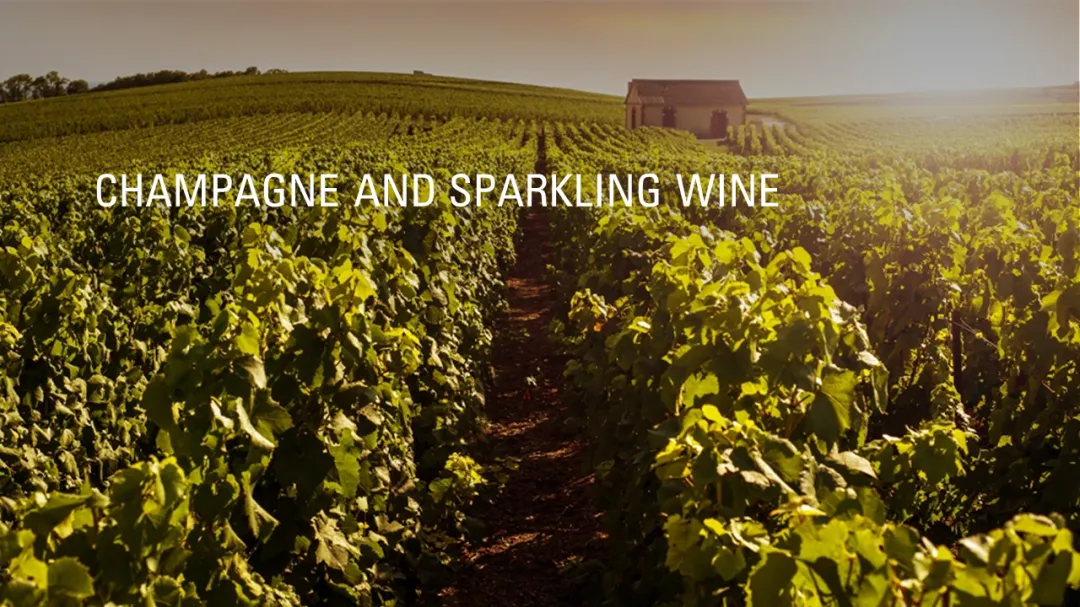 Wine Conversations #14 – Champagne and Sparkling Wine