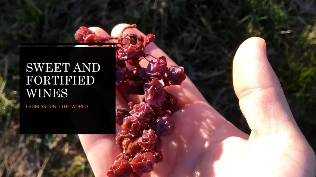 Wine Conversations #15 – Sweet and Fortified Wines