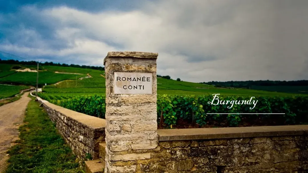 Wine Conversations #2 – Burgundy