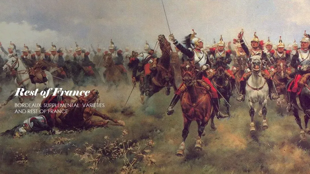 Wine Conversations #4 – Bordeaux – Supplemental Varieties and Rest of France