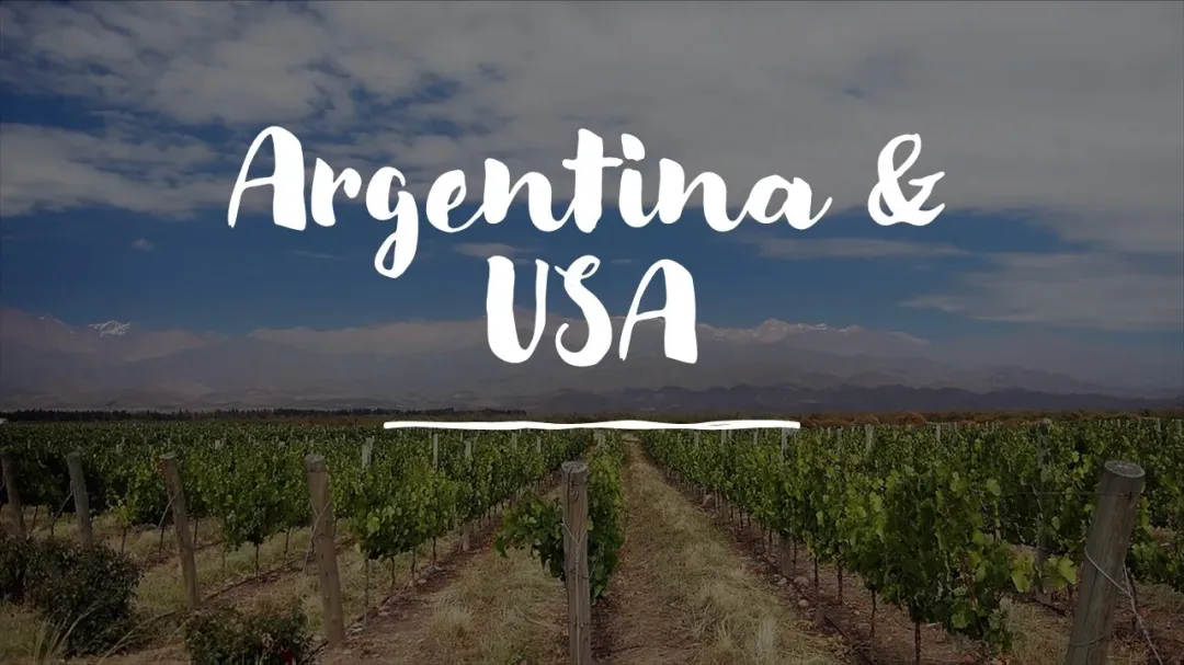 Wine Conversations #5 – New World (Argentina & USA)