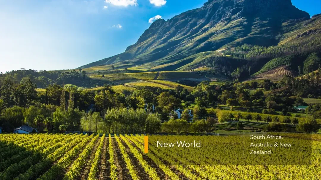Wine Conversations #6 – New World – (Australia, South Africa, New Zealand)