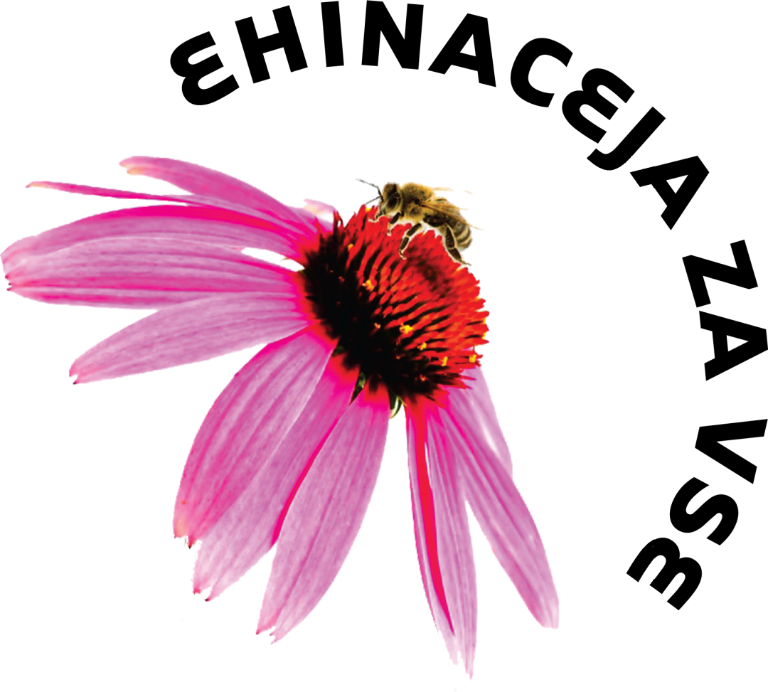 Ehinaceja za vse