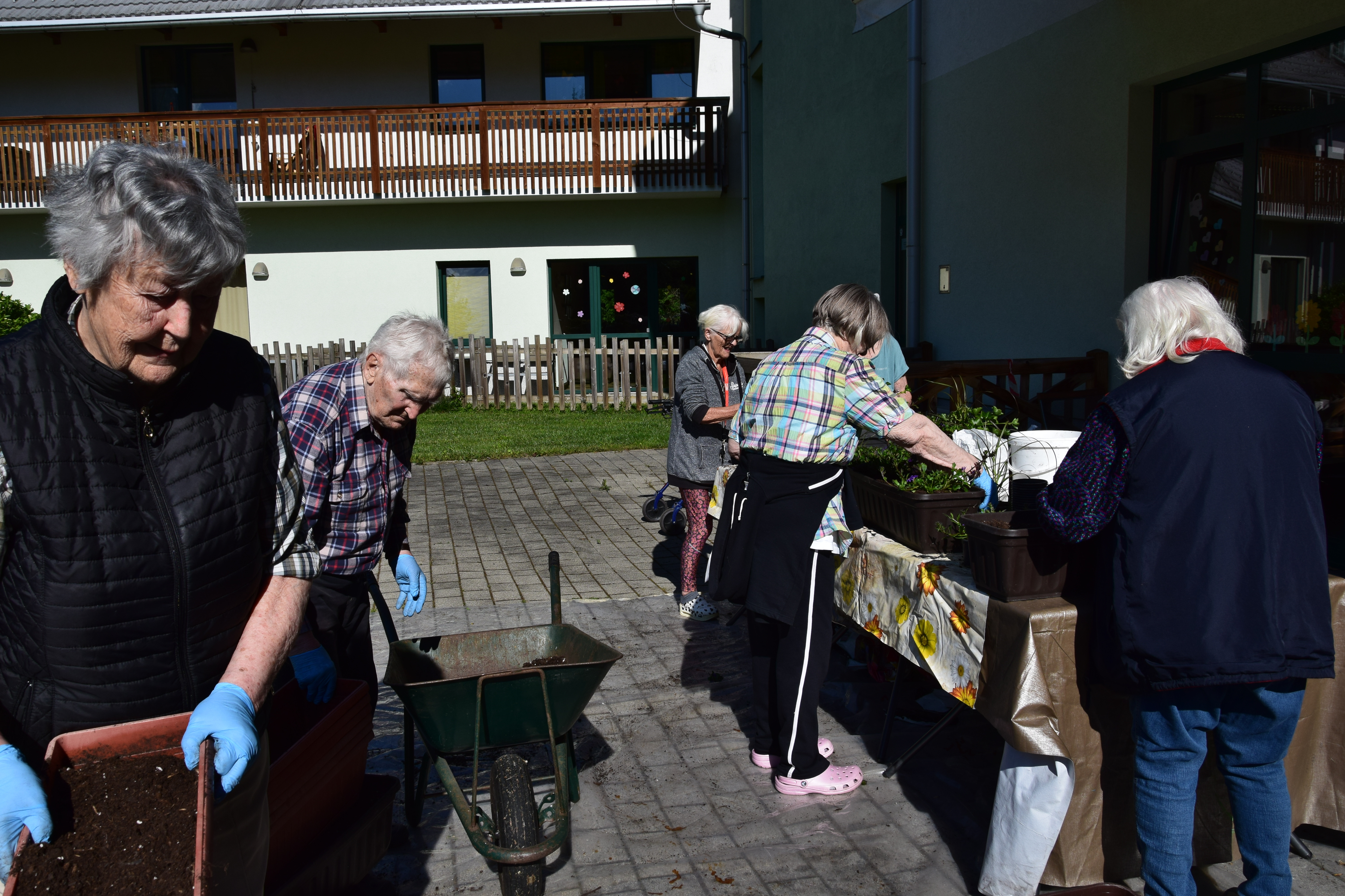 Aktivnosti po skupinah od 19.5. do 25.5.2025