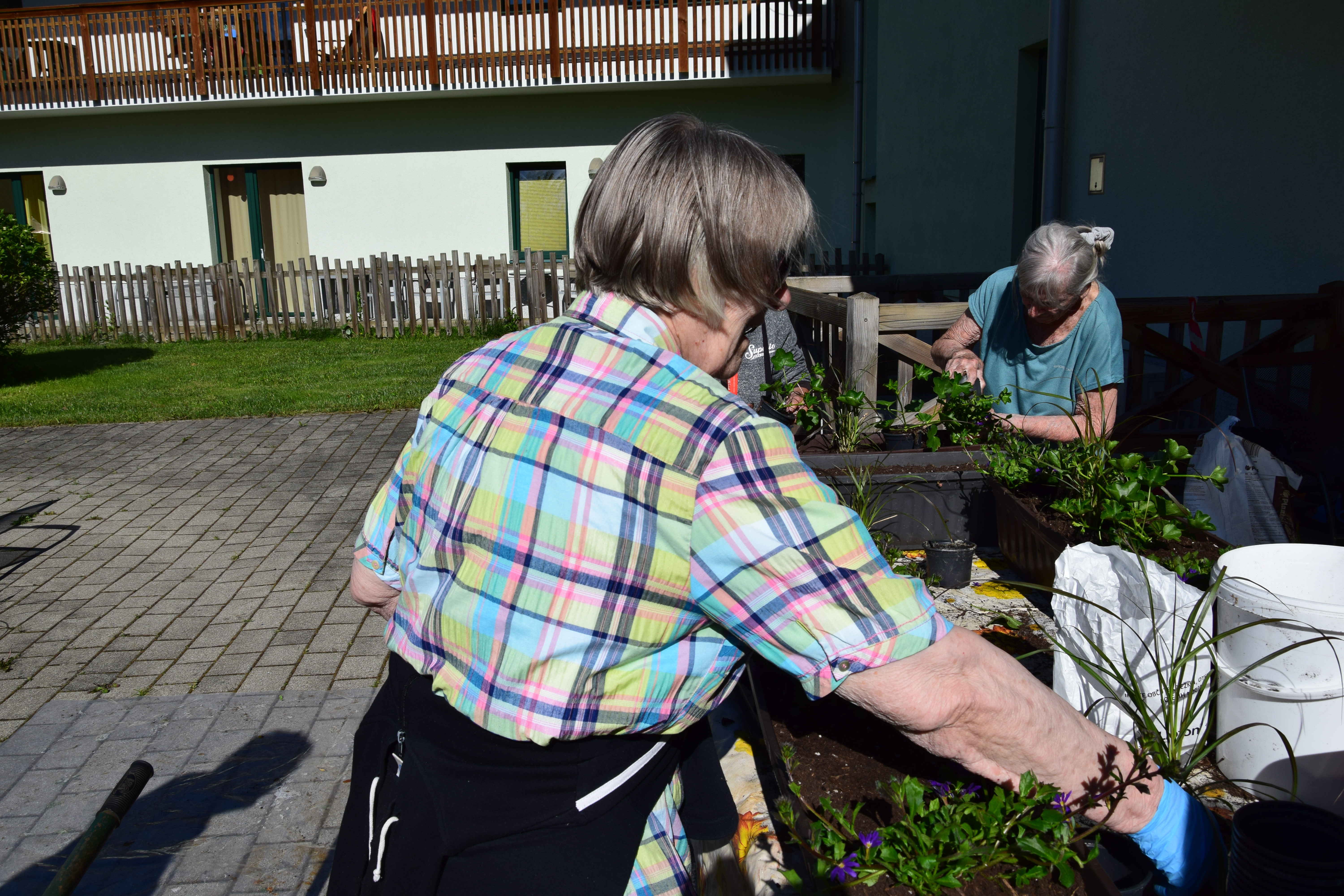 Aktivnosti po skupinah od 19.5. do 25.5.2025