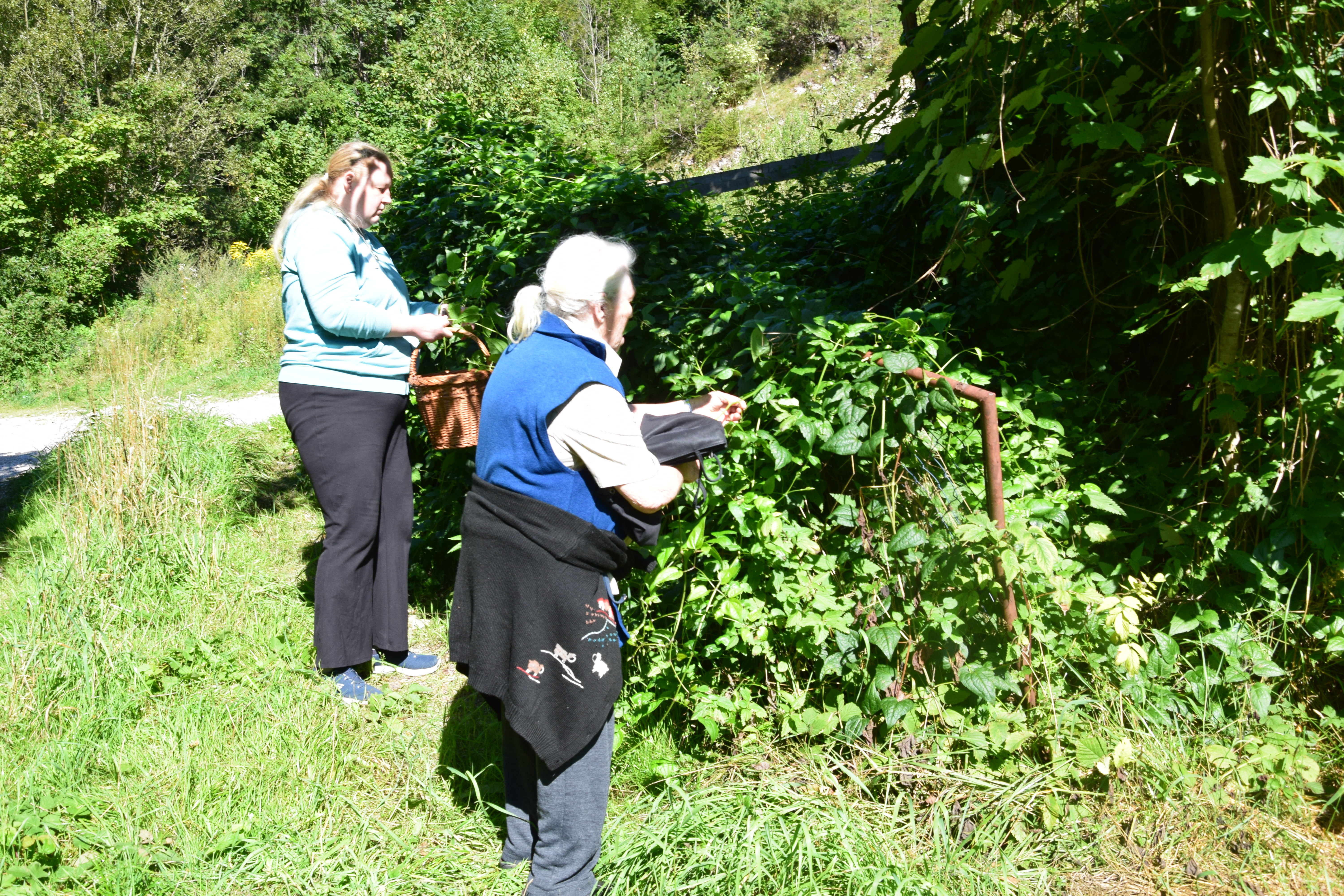 Delavnice po skupinah v avgustu