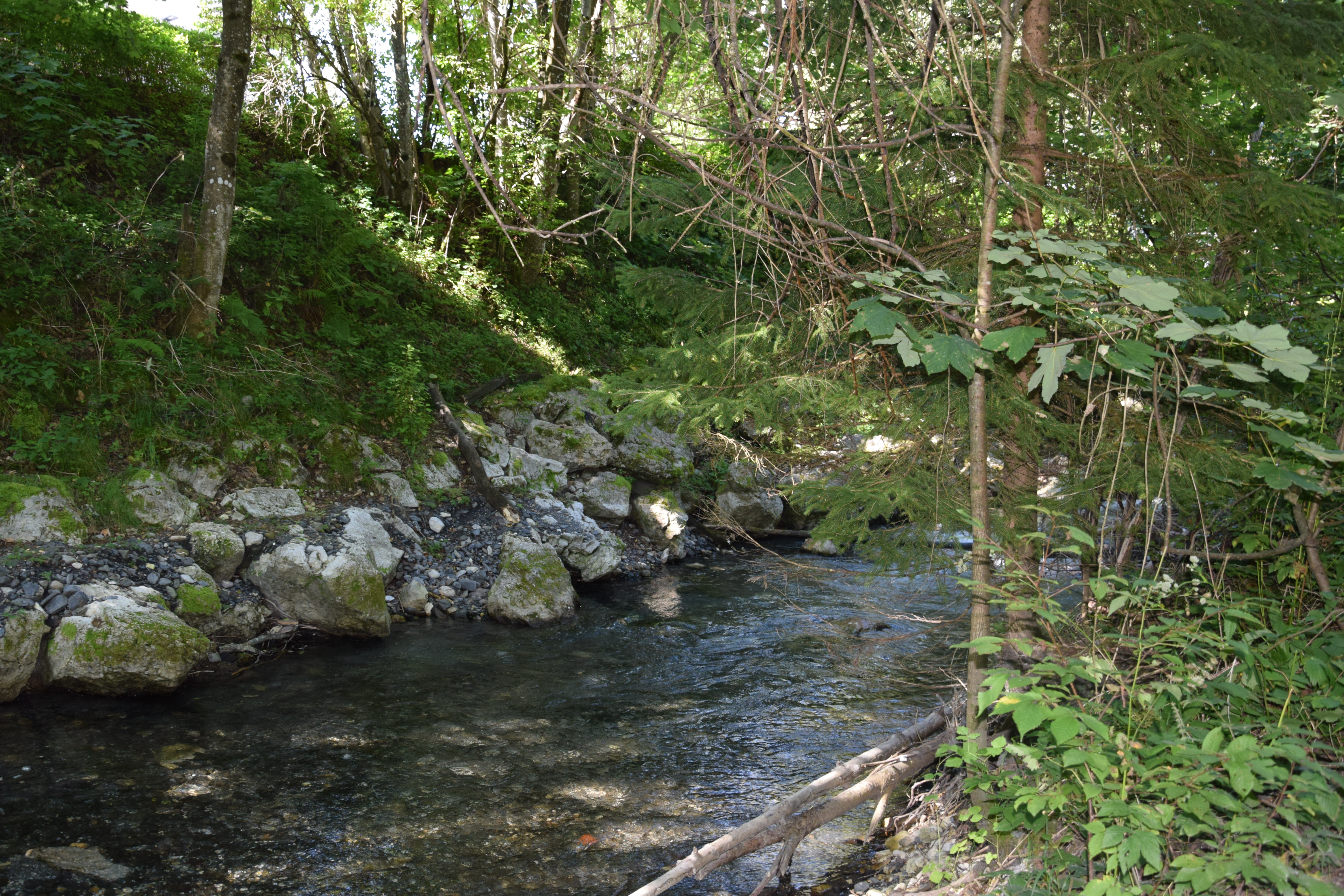 Delavnice po skupinah v avgustu