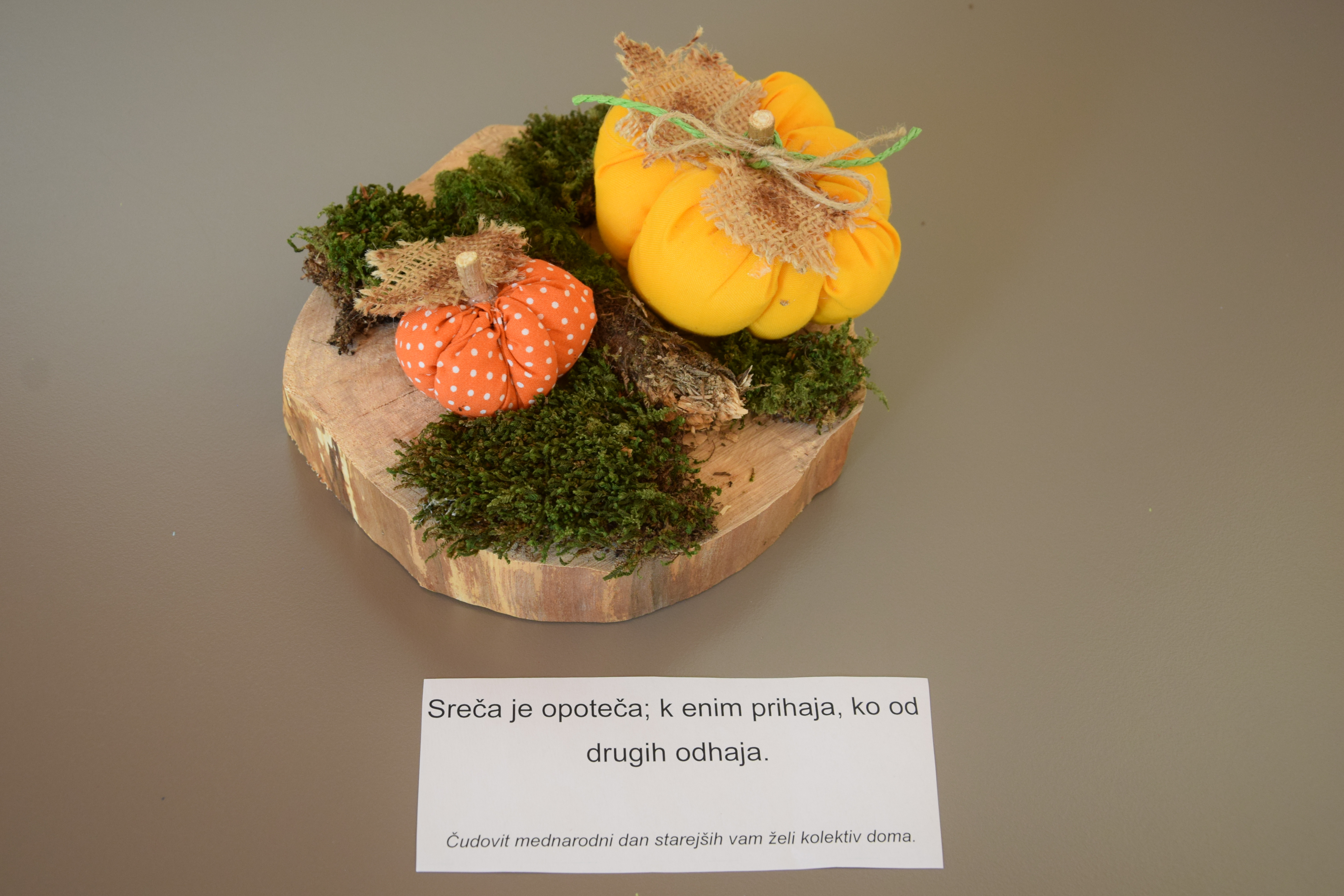 Delavnice po skupinah v septembru