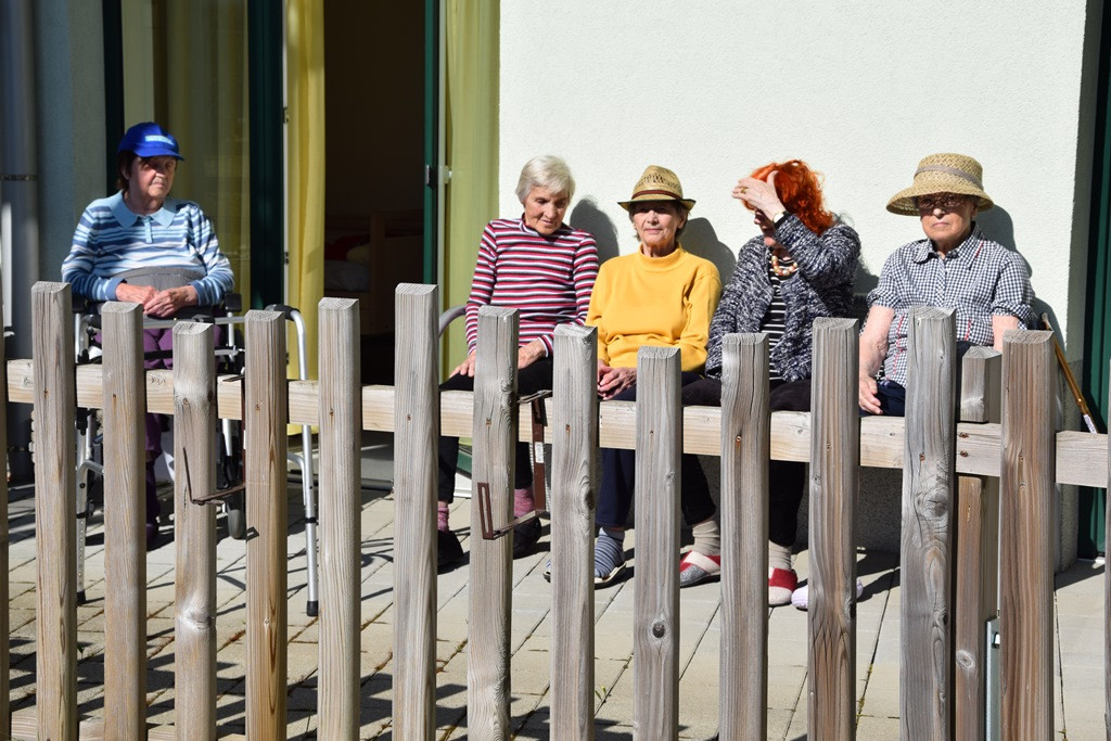 Dom Viharnik odet v melodije harmonike