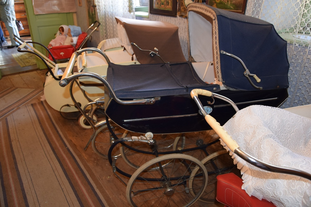 Druženje gorenjskih delovnih terapevtov in stanovalcev