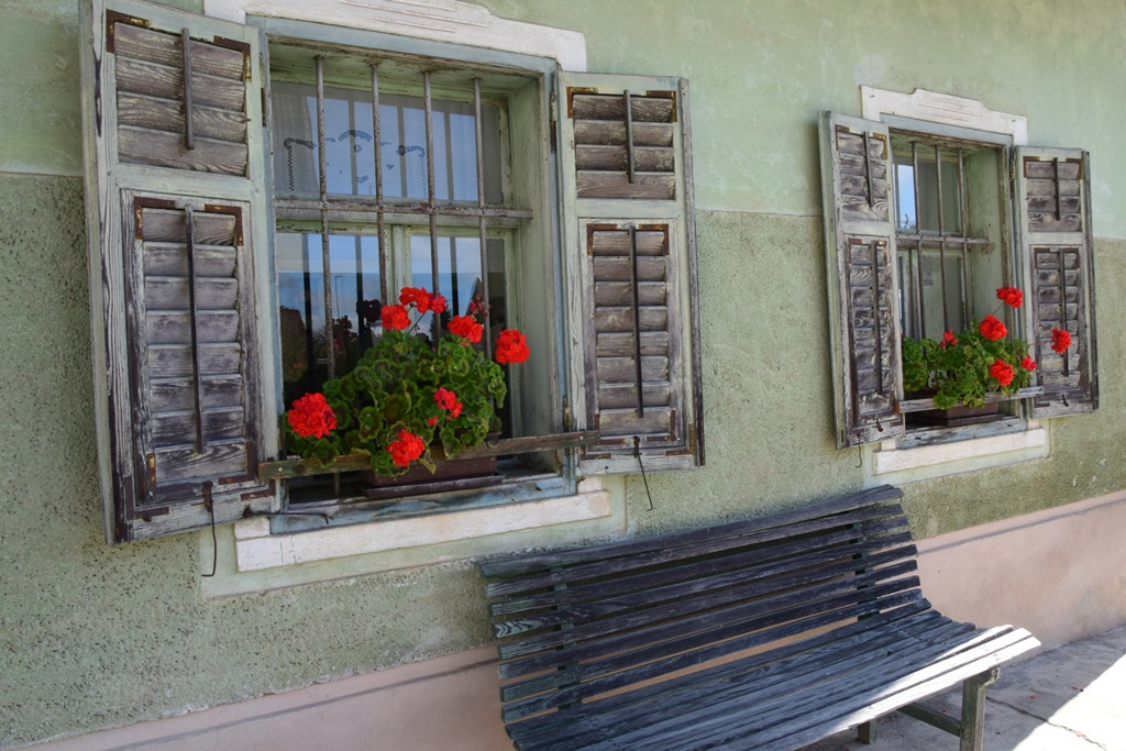 Druženje gorenjskih delovnih terapevtov in stanovalcev