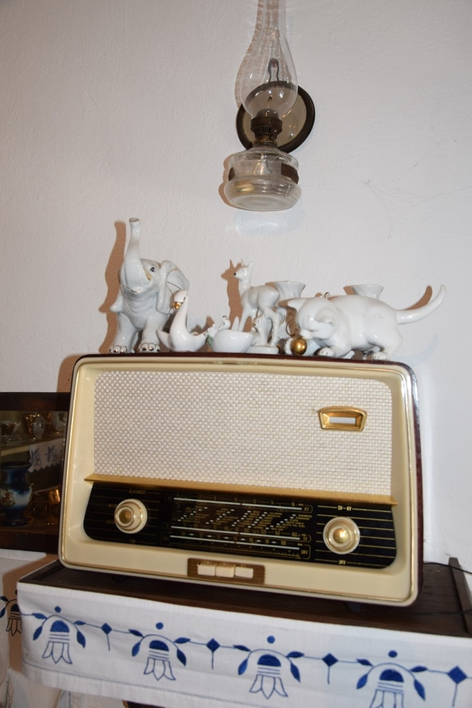 Druženje gorenjskih delovnih terapevtov in stanovalcev