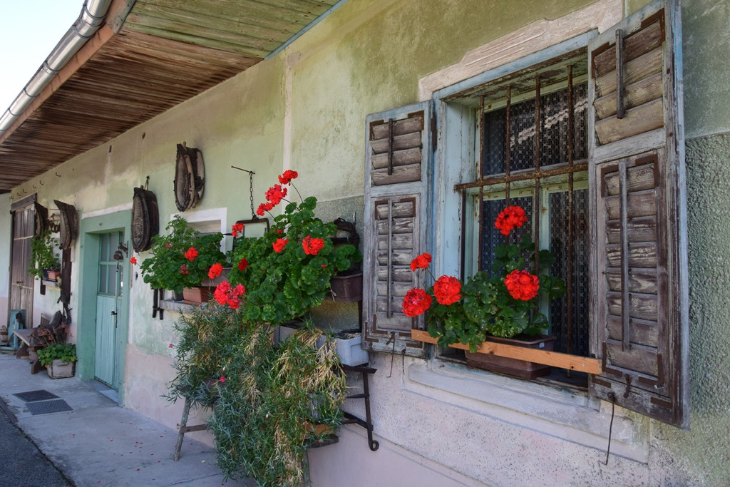 Druženje gorenjskih delovnih terapevtov in stanovalcev