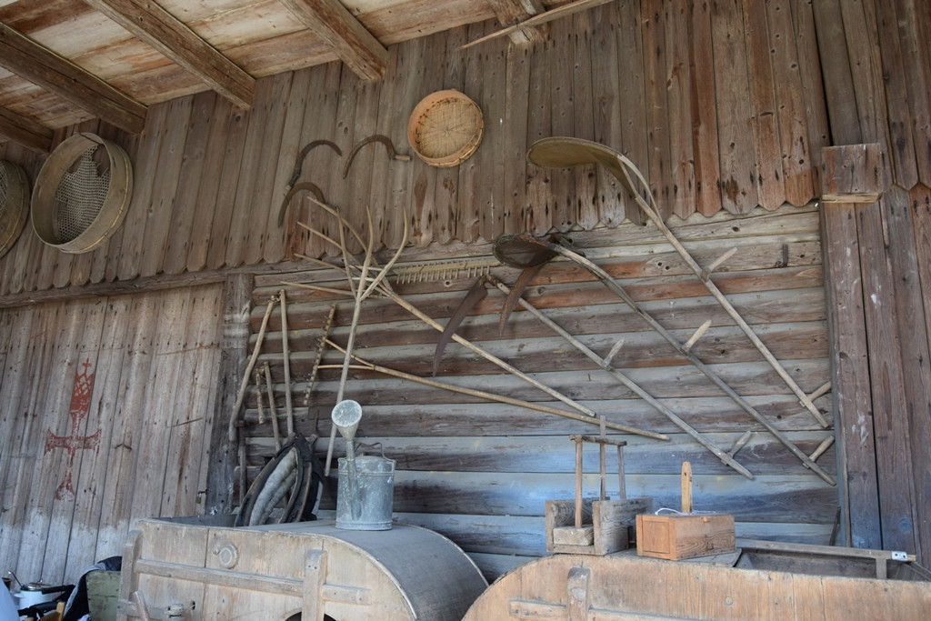 Druženje gorenjskih delovnih terapevtov in stanovalcev