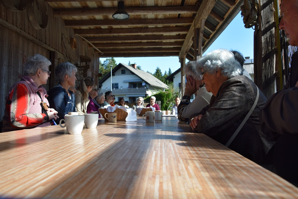 Druženje gorenjskih delovnih terapevtov in stanovalcev
