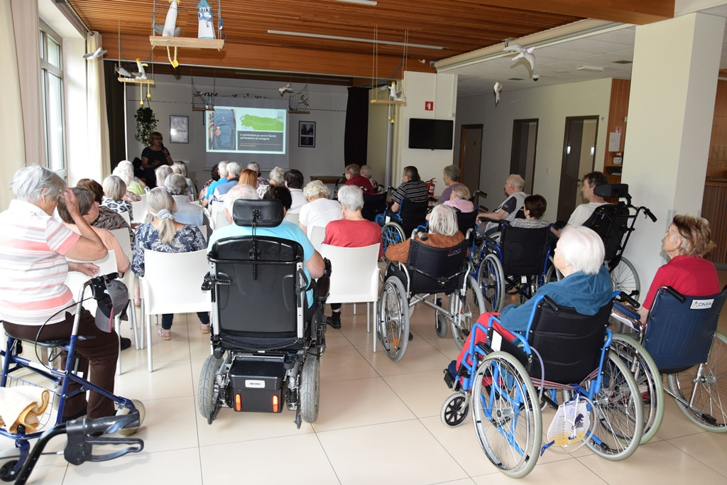 El Camino – pot, ki ti spremeni življenje?