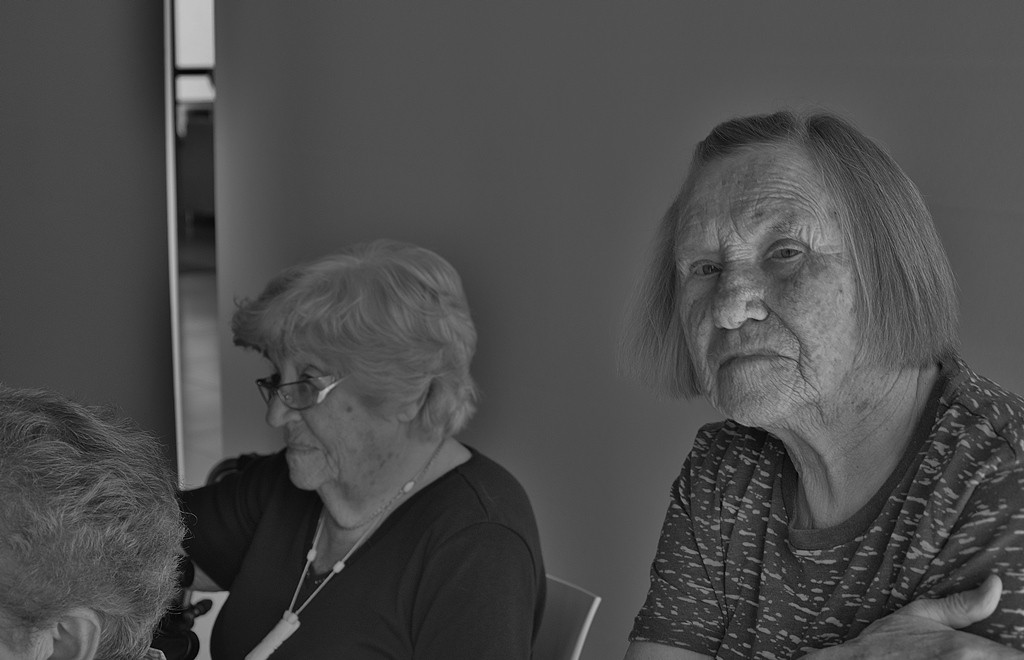 Film fest v Viharniku