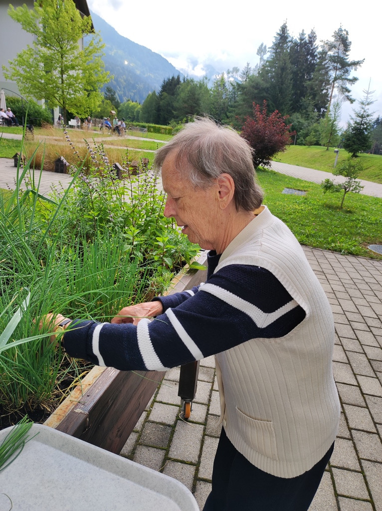 Gospodinjska aktivnost