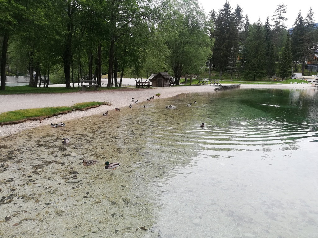 Izlet do jezera Jasna